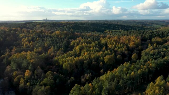Drone shot of countryside and forest wood in autumn at sunset