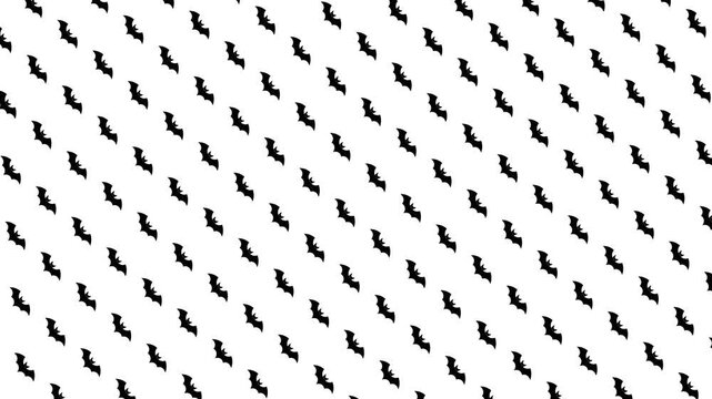 Bat pattern loop animation : Seamless spooky motion background with flying bat shapes, perfect for Halloween and dark-themed projects
