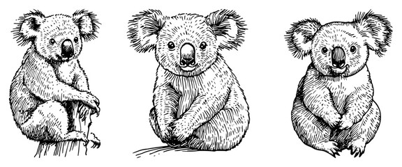 Hand Drawn Koala Bear Sketch Set black shape vector laser cutting engraving monochrome print