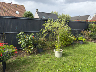 A private backyard garden with a green lawn, potted plants, and a modern dark privacy fence