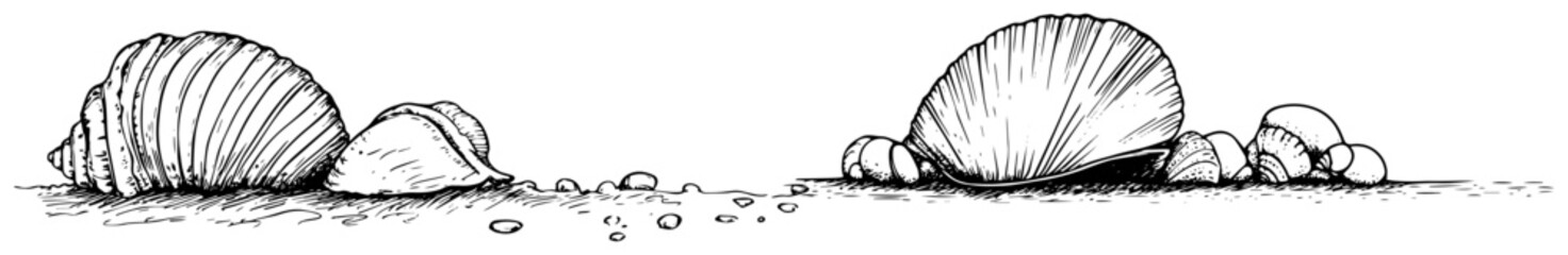 Hand Drawn Seashells on a Beach a Vintage Sketch Banner