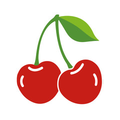 cherry vector illustration