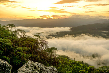 The white mist on the sea waves floats on the top of the high mountain. The morning sunlight shines through, looking warm and refreshing.