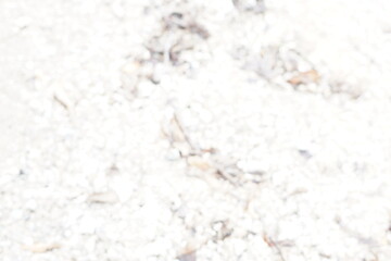 overexposed white ground and rocks