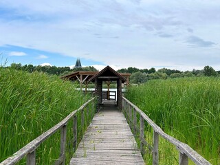 wooden promenade over the lake