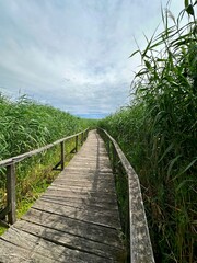 wooden promenade over the lake