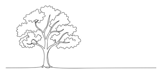 one continuous line drawing of a minimalist tree modern botanical illustration