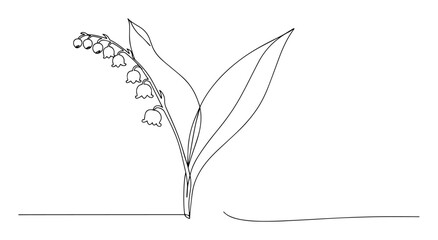 lily of the valley flower one line art drawing © Wieslaw