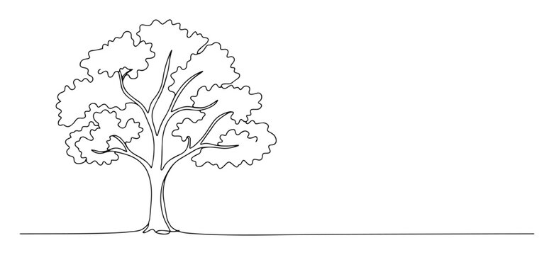Fototapeta one continuous line drawing of a minimalist tree modern botanical illustration