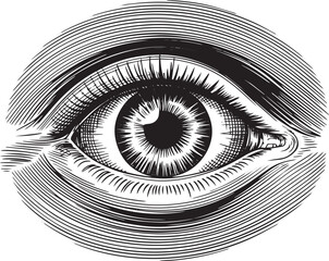 Detailed black and white engraving style illustration of human eye with precise hatching, cross hatching, and circular frame in vintage anatomical art