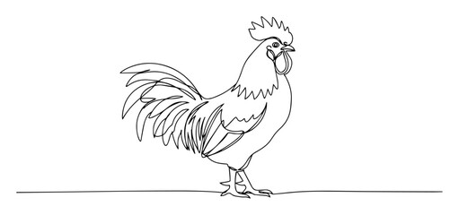 rooster standing proud monoline thin lineart vector illustration