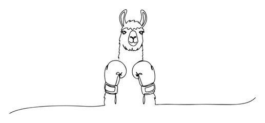Fototapeta premium boxing llama with gloves contour monoline vector lineart thin outline doodle