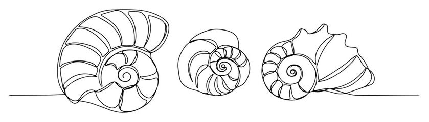 trio of ammonite fossils contour linework vector © Wieslaw