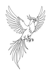 majestic phoenix fire bird with rising wings mythical creature continuous one line drawing vector tattoo design