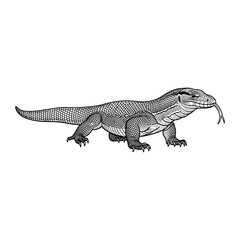 black and white vector illustration of a Komodo dragon.white background