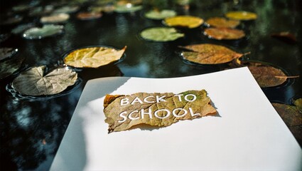 Back to School White Paper with Torn Leaf Lettering, Floating Autumn Leaves on Reflective Water Background