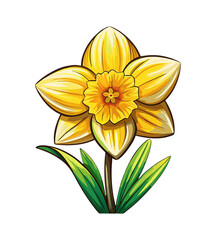 Obraz premium Illustration of a vibrant yellow daffodil flower with green leaves and stem