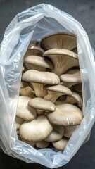 Fresh mushrooms in a plastic bag