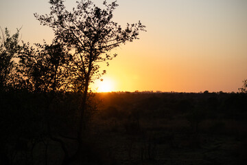 sunset in the morning