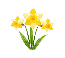 Obraz premium Cheerful and Vibrant Daffodil Bouquet with Yellow and White Petals