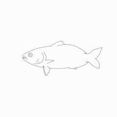 Monochrome Illustration of a Single Fish with Streamlined Body and Prominent Tail in Simple Line Drawing Style on a Plain Background