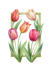 Watercolor illustration of colorful tulips arrangement inside a rectangular frame