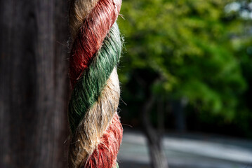 鎌倉25912　本覚寺6