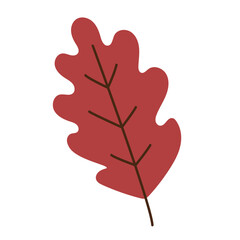 Red autumn oak leaf isolated on white background, simple seasonal botanical illustration