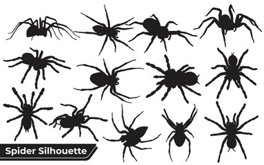 spider silhouettes sheet
