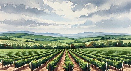 Fototapeta premium Vineyard Landscape Under Cloudy Sky.