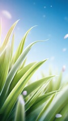Lush green grass blades reaching towards a vibrant blue sky, closeup view of nature's beauty