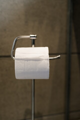 A toilet paper roll holder bathroom tissue dispenser modern minimal
