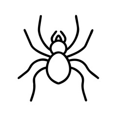 Obraz premium Spider illustration with simple line design on white background 