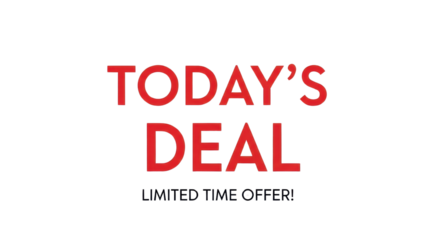 Isolated Vector Graphic Banner Text "TODAY'S DEAL LIMITED TIME OFFER!" in Bold Red and Black