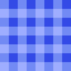 blue plaid	
