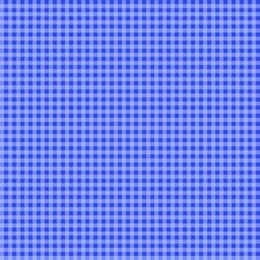 blue plaid	
