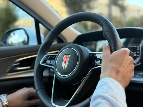 Hands of a driver on a multi-functional steering wheel of a modern Hongqi H5 luxury car with a prominent brand logo center cap.