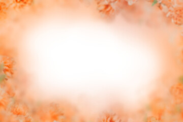 Fototapeta premium flower, flowers, purple, nature, plant, spring, violet, bloom, blue, blossom, garden, viola, petal, flora, pansy, summer, beauty, isolated, floral, leaf, pink, white, macro, blooming, color