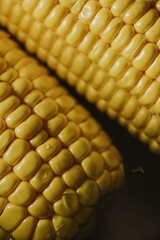 Fresh yellow corn close up, healthy vegan food, natural ingredient