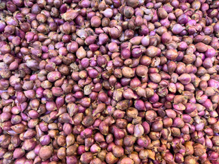 A large, full-frame, close-up view shows a vast pile of small, unpeeled red shallots with their thin papery skin, showcasing a rich purple and brown color.
