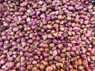 A large, full-frame, close-up view shows a vast pile of small, unpeeled red shallots with their thin papery skin, showcasing a rich purple and brown color.