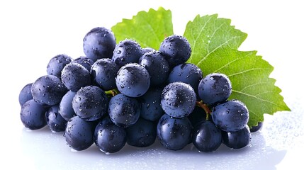 Fototapeta premium Dark Blue Grapes Water Drops Green Leaf Cluster ripe grapes