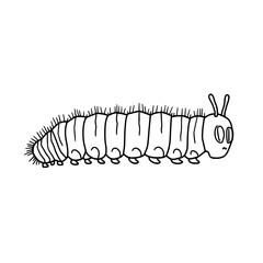 Caterpillar outline illustration simple cartoon insect drawing