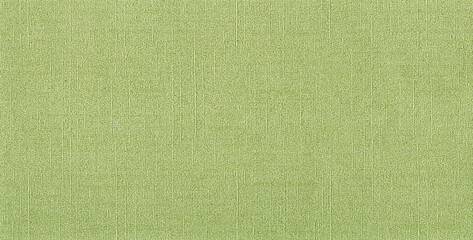Light Green Embossed Fine Line Paper Texture Background