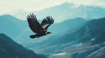 Majestic eagle soaring over mountain range nature photography serene landscape aerial view wildlife concept