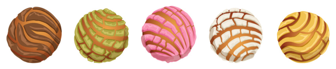 Concha Bread Collection in Different Flavors and Textures - Chocolate, Pistachio, Strawberry, Vanilla and Buttery Mexican Pan Delus Pastries Illustration