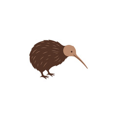 Cartoon illustration of a kiwi bird standing on a white background, showcasing its unique features