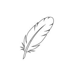 Elegant feather illustration with intricate details against a clean background, suitable for design use