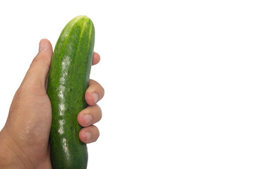 Hand holding whole green cucumber on plain white background
