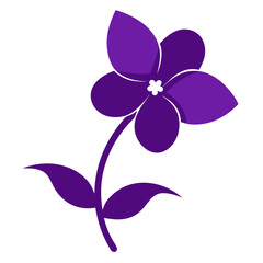 orthosiphon aristatus purple silhouette